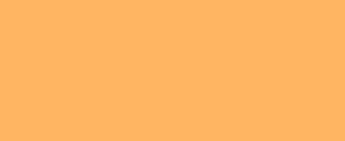 286 One and Half C.T. Orange - Lighting Filter Roll 122x762cm