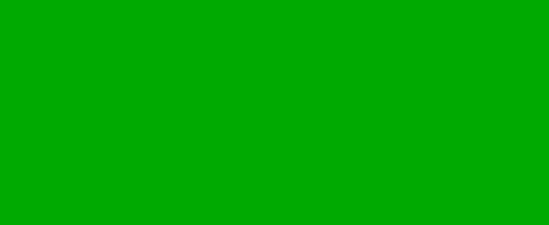 736 TWICKENHAM GREEN - Lighting Filter Roll 122x762cm